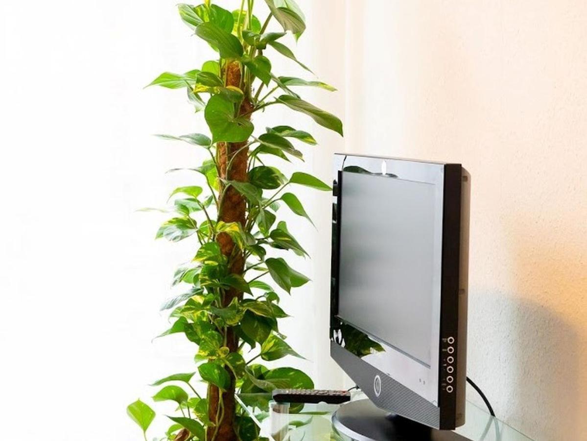 Ferienwohnung Epting Kappelrodeck Ngoại thất bức ảnh